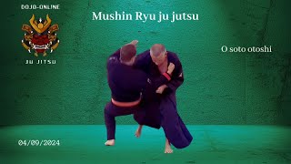 Mushin ryu ju jitsu défenses sur Muna dori et Mae geri avec O soto otoshi soto otoshi [upl. by Hollingsworth]