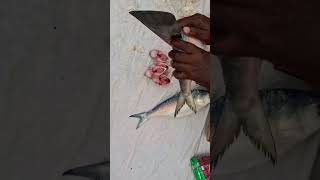 Ilish mach👌👍♥️ shotrs food ghoroaranna viralvideo [upl. by Inavihs52]