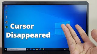 Fixed  Mouse Cursor Disappears in Windows 10 [upl. by Eelarbed]