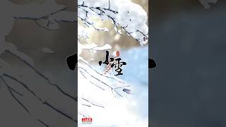 【24節氣】小雪 shorts 24節氣 星雲大師 [upl. by Latsyrhk]