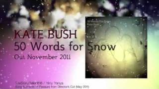 Kate Bush 50 Words for Snow  Teaser  Brand new Album  9 [upl. by Fraya635]