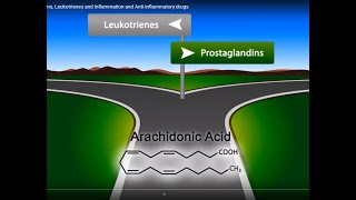 Eicosanoids Prostaglandins Leukotrienes and Inflammation and Antiinflammatory drugs [upl. by Eycats]