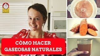 Cómo hacer GASEOSAS NATURALES [upl. by Busiek115]