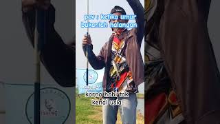 ki pungut  angler barra tambak Sukatani  shots youtubeshorts [upl. by Erinn244]