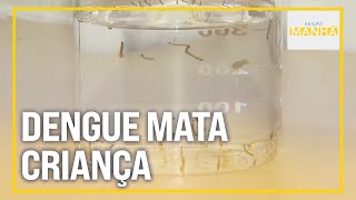 Edição Manhã  Dengue em Campinas Criança entre novos seis óbitos confirmados pela doença [upl. by Bertero733]