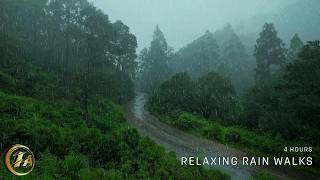 4K Walk through Misty Rain under Umbrella  Relaxing ASMR Rain Walks Compilation for 4 Hours [upl. by Honebein]