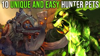 10 Unique AND Easy Hunter Pets in World of Warcraft [upl. by Cindy]