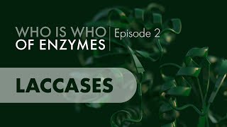 Who Is Who of Enzymes Laccases [upl. by Erialcyram]