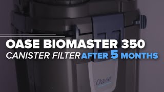 5 Months Update amp Maintenance Oase BioMaster Canister Filters  Oase 250 350 600 850 [upl. by Laerol]