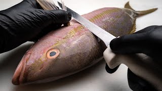 How to Fillet a Small Fish [upl. by Nike101]