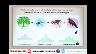 6 06 026 Java e trembëdhjetë Biologji qarkullimi i energjisë në ekosistem [upl. by Iman]