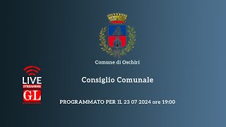 Consiglio Comunale del 23 07 2024 [upl. by Sachsse]