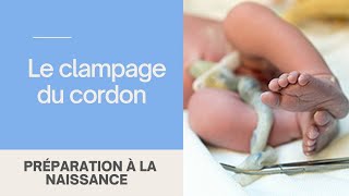 Clampage du cordon ombilical précoce ou tardif [upl. by Oiziruam122]