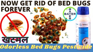 Bed bugs Treatment  खटमल ख़तम करने का सही तरीका  Khatmal control treatment  bed bugs control [upl. by Wehrle357]