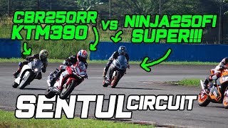 KTM RC390 vs CBR250RR on Circuit  Ninja250FI Ngacir Parah  SENTUL INTERNATIONAL [upl. by Lovmilla]