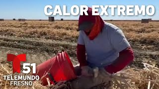 Recomendaciones ante ola de calor extremo en el Valle Central [upl. by Grizel]