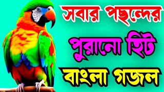 মধুর কন্ঠের একটি সেরা গজল Madhur counter akti notun gojol [upl. by Senga]