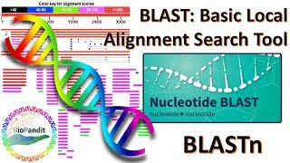 Basic Local Alignment Search Tool Nucleotide BLAST BLASTn [upl. by Akir]