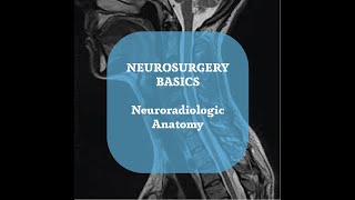 Neurosurgery Basics Lecture  Neuroradiologic Anatomy Part 4 [upl. by Pentha787]