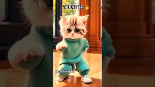 Cat dance videos🔥shorts danceyoutubeshorts [upl. by Ayram840]