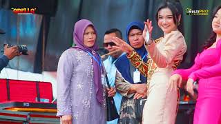 PERTEMUAN  All Artis  OM ADELLA LIVE BREBES [upl. by Einner487]