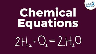 How Chemical Equations are Formed  Dont Memorise [upl. by Trotta]