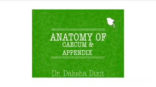 ANATOMY OF CAECUM amp APPENDIX [upl. by Beedon]