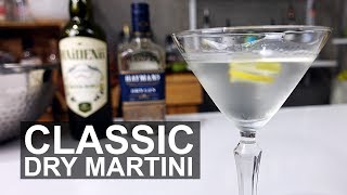 Classic Dry Gin Martini Cocktail Recipe [upl. by Linad613]