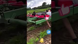 The most comfortable way to pick vegetables [upl. by Leacim]