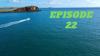 Coral trout catch and cook Saragosa 6000 rod and reel review Saragosa Ep22 [upl. by Mccallion]