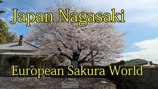 Japan Kyushu Nagasaki European World Dutch Slope Higashiyamamate Oura Cathedral Glover Garden [upl. by Martie]