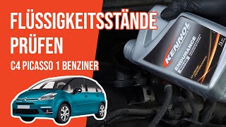 Die Flüssigkeitsstände prüfen C4 Picasso 1 18i 📏 [upl. by Timmy]