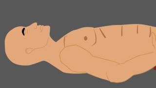 Diaphragmatic Breathing Technique [upl. by Cote293]