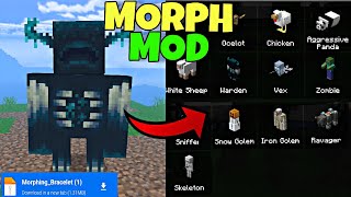 BEST MORPH Mod For Minecraft Pe 120  Morph Into Anything [upl. by Fritze]