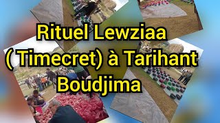 Rituel Lewziaa  Timecret à Tarihant Boudjima  Novembre 2024 [upl. by Palila278]