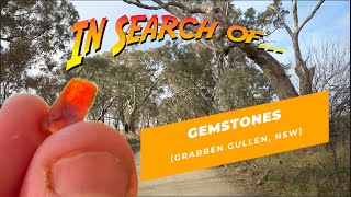 Fossicking for sapphires at Grabben Gullen NSW [upl. by Skiba]