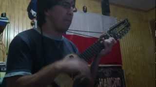 Volarás Charango [upl. by Mini]