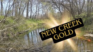 Is This the BEST Prospecting Spot EVER New Creek Exploration [upl. by Felicia]