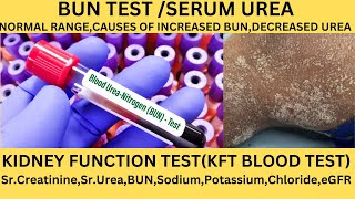 SERUM UREABLOOD UREA NITROGEN TESTNORMAL RANGES CAUSES OF HIGH AND LOW BLOOD UREAUREA METABOLISM [upl. by Nelyag657]