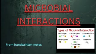 MICROBIALINTERACTION microbial microbialgenetics microorganism [upl. by Haldane]