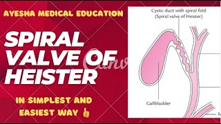 Spiral valve of heister  Extrahepatic biliary apparatus  ayeshamedicaleducation [upl. by Kulsrud165]