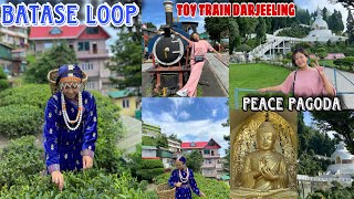 DARJEELING BATASE LOOPPEACE PAGODATOY TRAINDARJEELING VLOG DAY3 [upl. by Gninnahc]