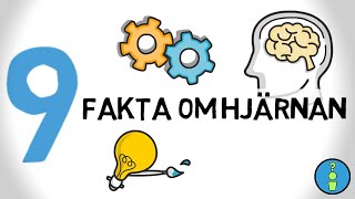 9 FAKTA OM HJÄRNAN [upl. by Richart]