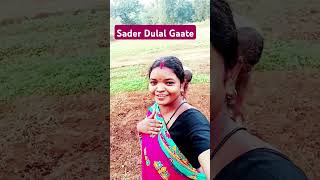 Sader Dulal Gaate ❣️shortsvideo [upl. by Llerahs]