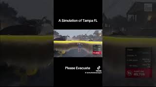 A simulation of hurricane Florida [upl. by Quint]