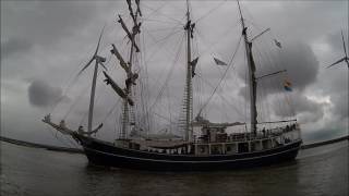 Delfsail 2016 Sail in [upl. by Lennie]