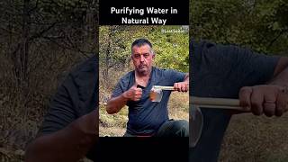 Primitive Water Purification Techniques  How to Purify Water Naturally in the Wild [upl. by Avat56]