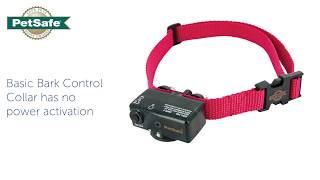 Basic Bark Control Collar Has No Power or Activation [upl. by Bonar]