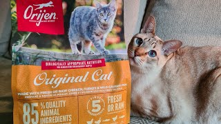 Orijen Cat Food Review  Honest and unsponsored review of Original Cat dry food  TRY KITTY [upl. by Roldan839]