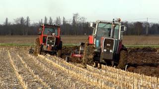 MF 1105 and 2645 plowing [upl. by Bathsheeb]